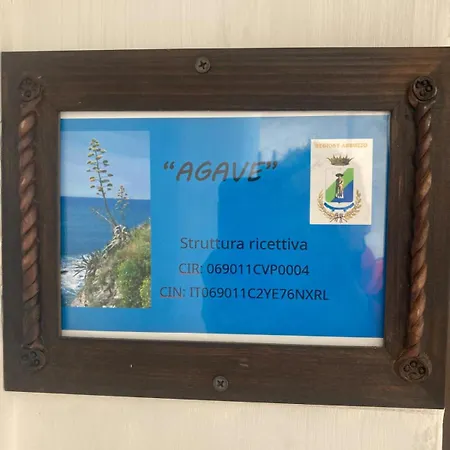 아파트 Agave
